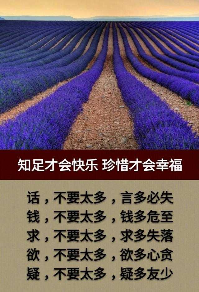 看一看比一比，我在中间也可以；眼一睁眼一闭，人生如梦睡过去