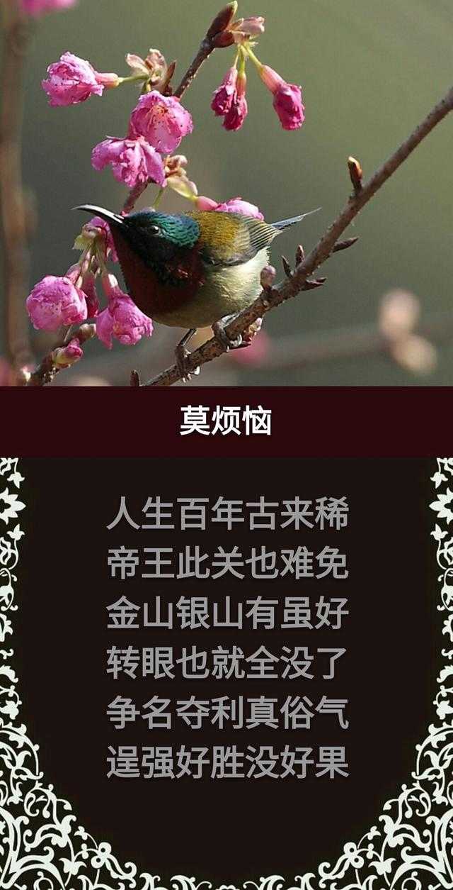 人生在世，天天天；春去秋来，年年年；两腿一蹬，完完完「精辟」