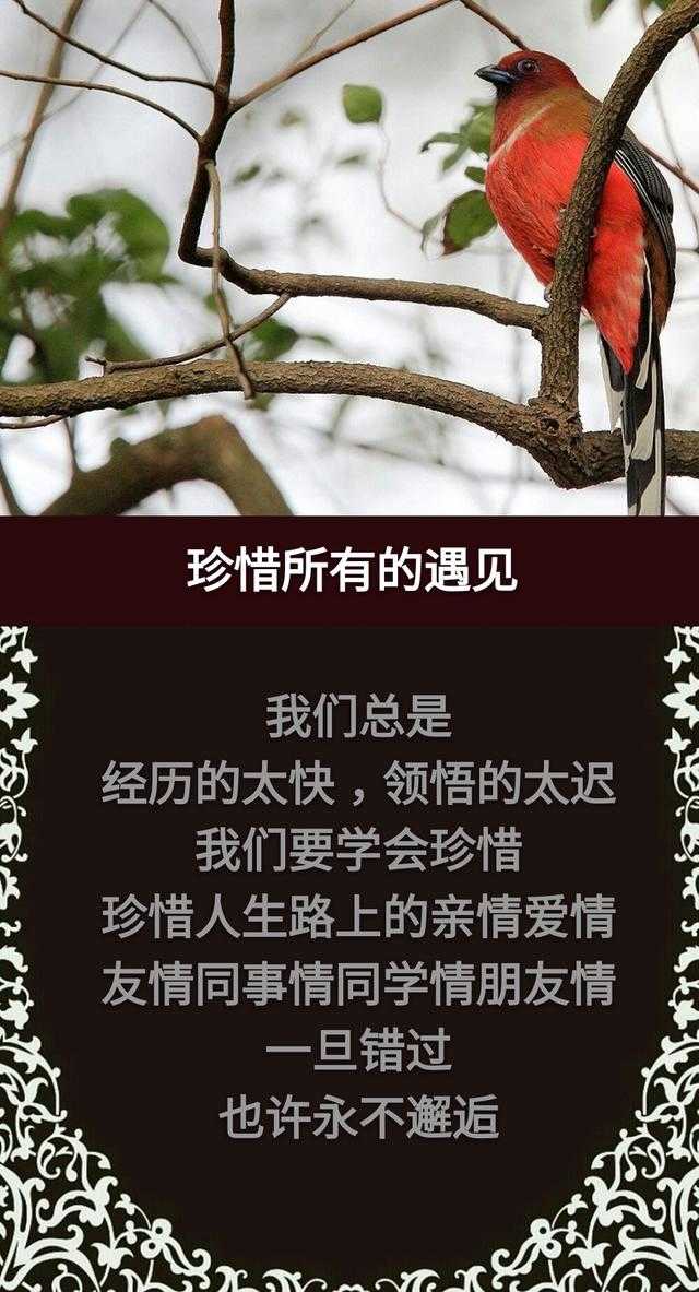 人生在世，天天天；春去秋来，年年年；两腿一蹬，完完完「精辟」