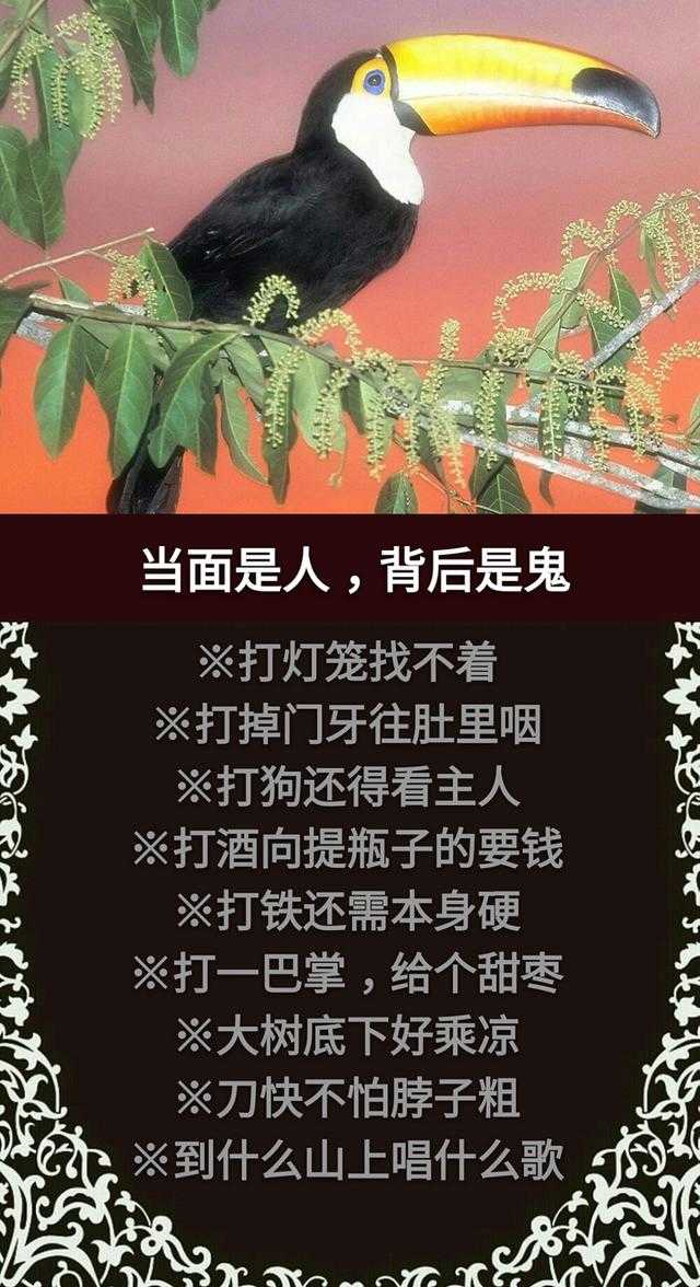 门前有个讨饭棍 骨肉至亲不上门；门前出起青草墩 嫡亲娘舅当外人