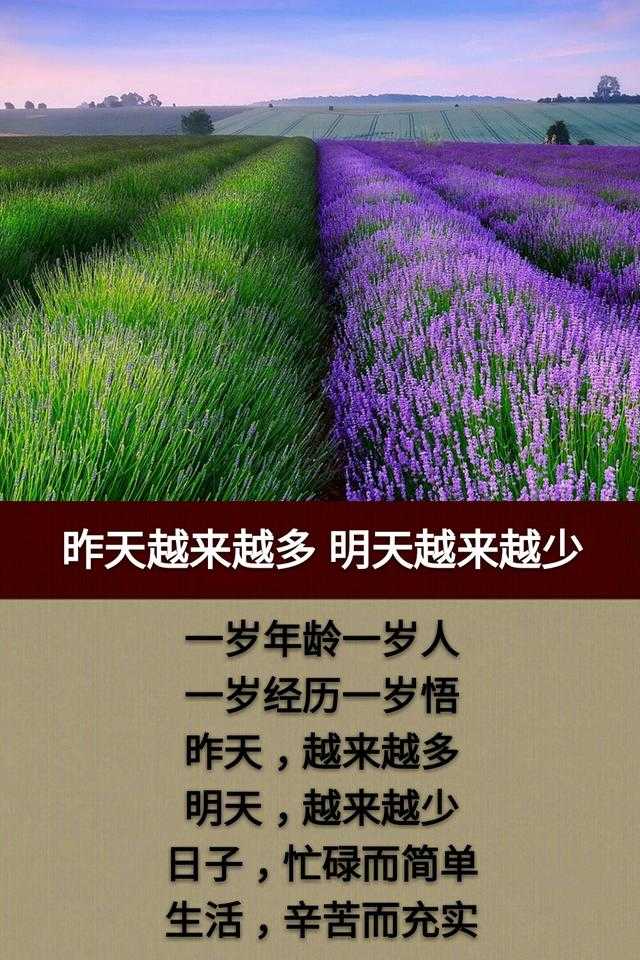 看一看比一比，我在中间也可以；眼一睁眼一闭，人生如梦睡过去