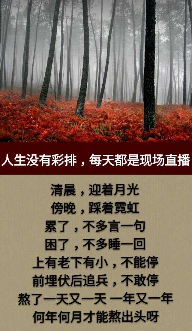 熬了一天又一天，熬了一年又一年，何年何月才能熬出头呀！