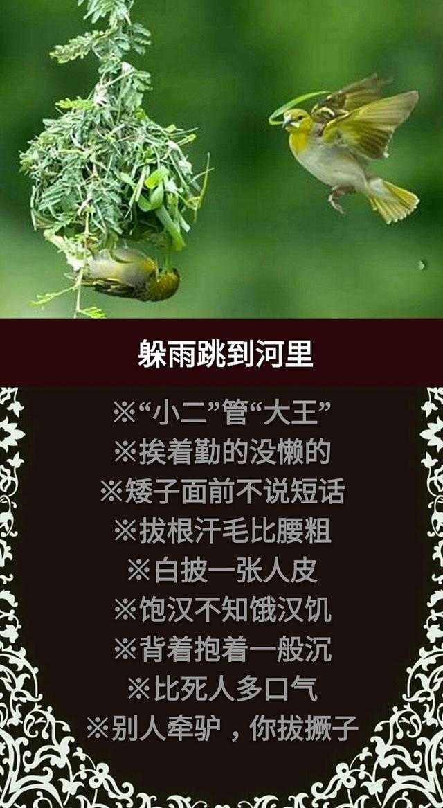 门前有个讨饭棍 骨肉至亲不上门；门前出起青草墩 嫡亲娘舅当外人