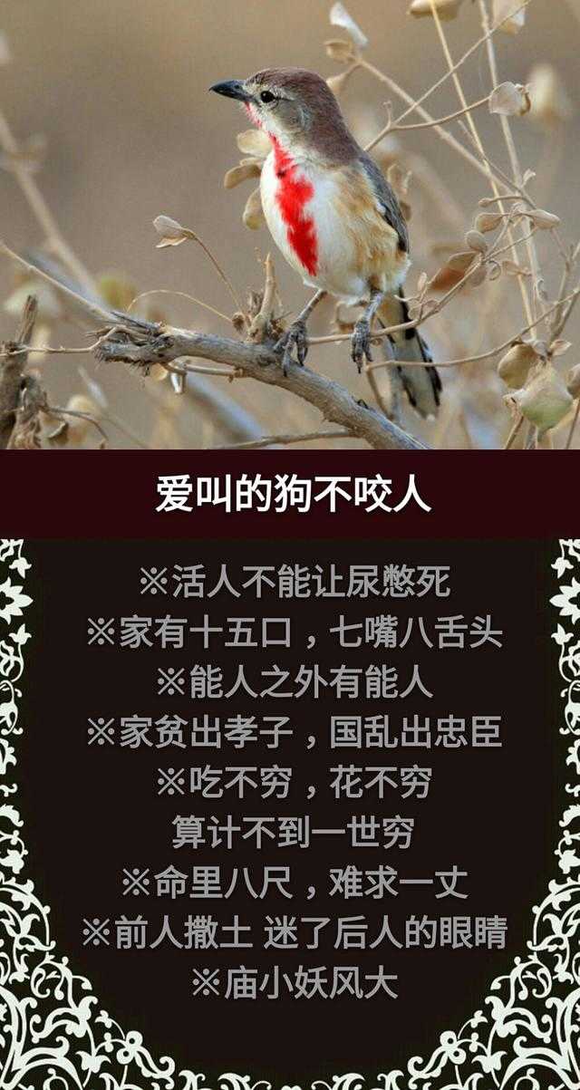 门前有个讨饭棍 骨肉至亲不上门；门前出起青草墩 嫡亲娘舅当外人