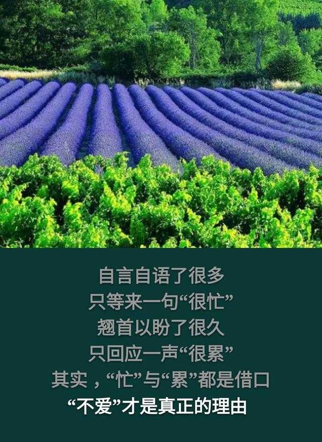 你把谁当唯一，谁却把你当之一「句句走心」