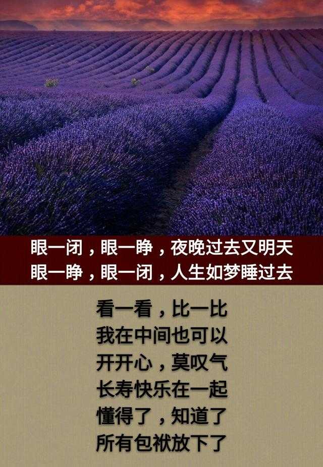 看一看比一比，我在中间也可以；眼一睁眼一闭，人生如梦睡过去