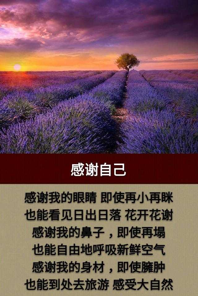 看一看比一比，我在中间也可以；眼一睁眼一闭，人生如梦睡过去