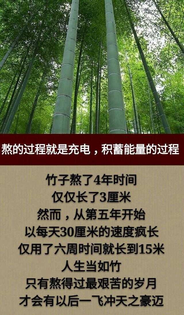 熬了一天又一天，熬了一年又一年，何年何月才能熬出头呀！