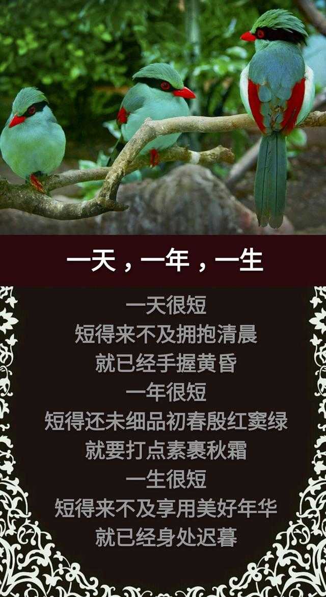 人生在世，天天天；春去秋来，年年年；两腿一蹬，完完完「精辟」