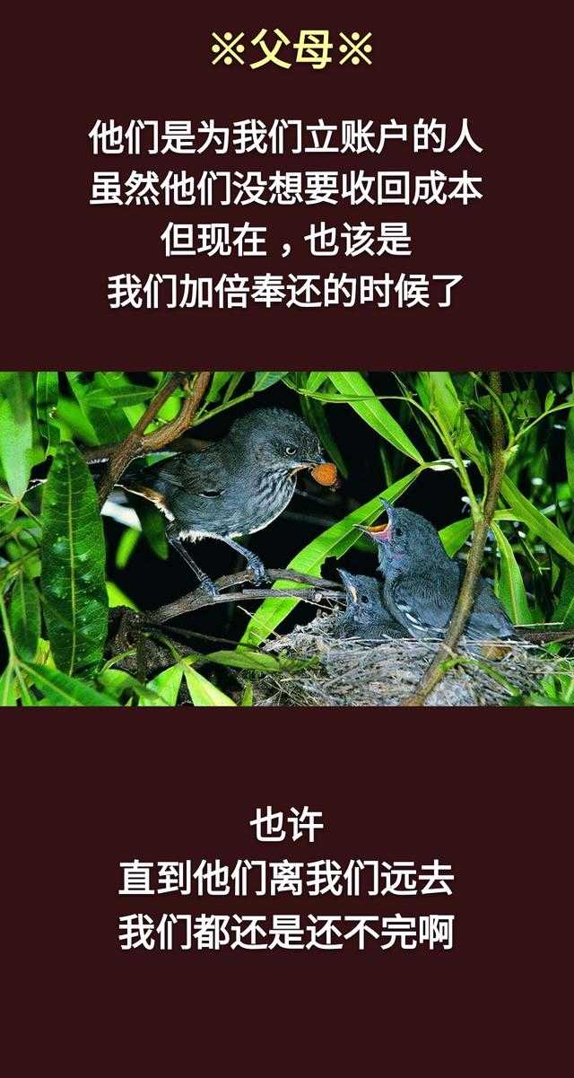 一个人，吃多少穿多少活多久，是富贵还是贫穷，命里早已注定！