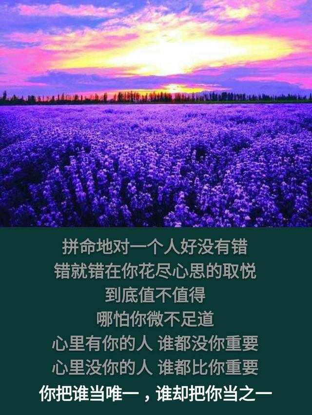 你把谁当唯一，谁却把你当之一「句句走心」