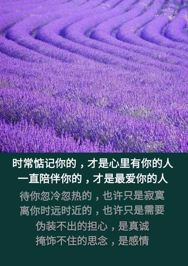 你把谁当唯一，谁却把你当之一「句句走心」