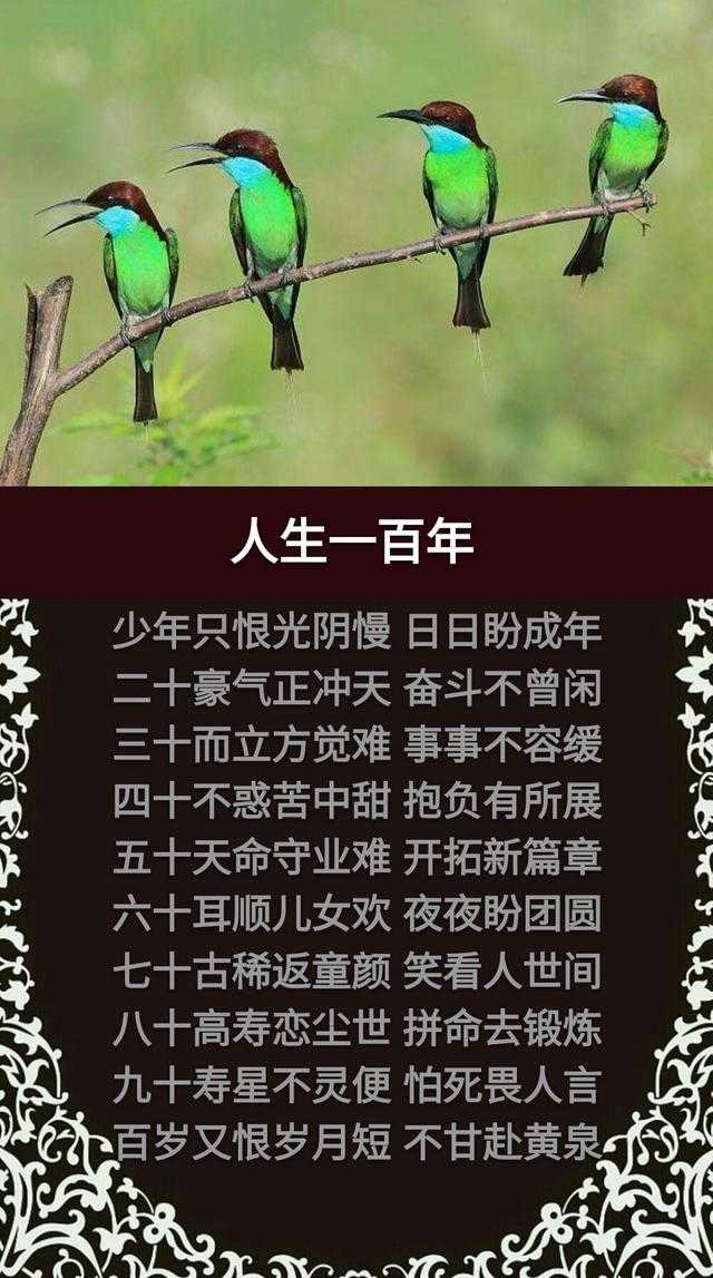 人生在世，天天天；春去秋来，年年年；两腿一蹬，完完完「精辟」