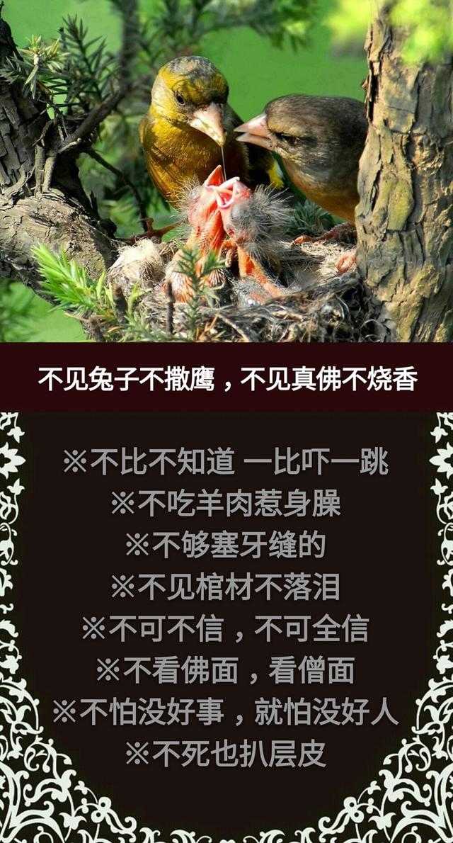 门前有个讨饭棍 骨肉至亲不上门；门前出起青草墩 嫡亲娘舅当外人