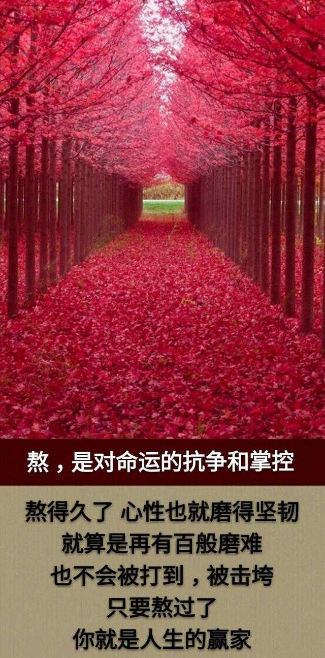 熬了一天又一天，熬了一年又一年，何年何月才能熬出头呀！