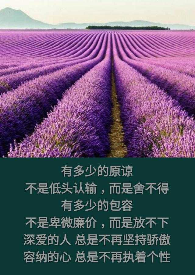 你把谁当唯一，谁却把你当之一「句句走心」