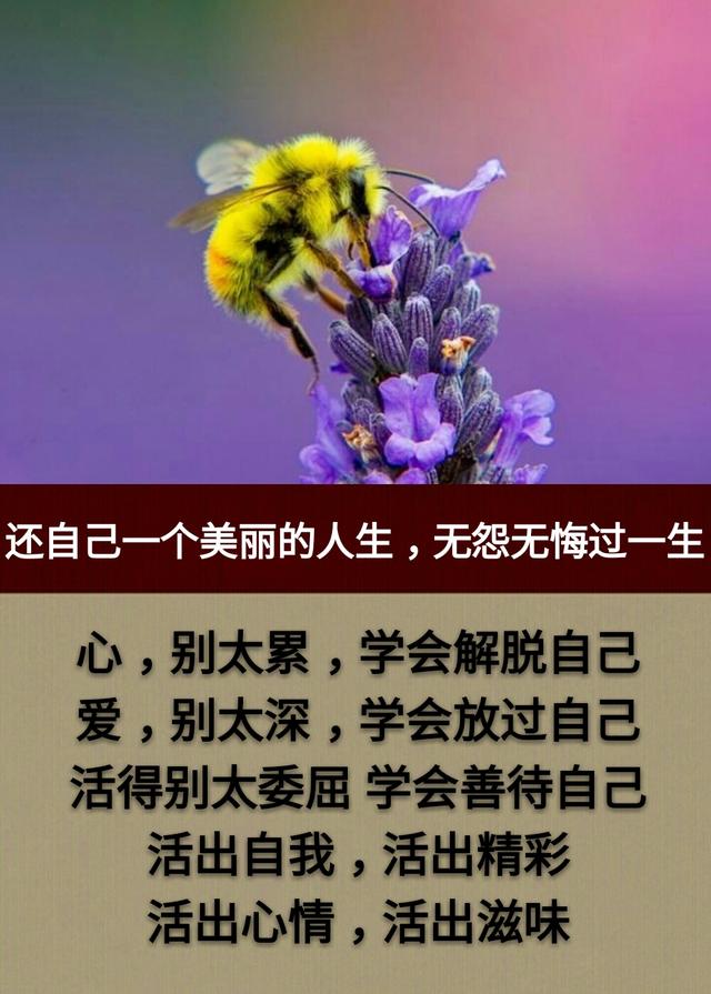 看一看比一比，我在中间也可以；眼一睁眼一闭，人生如梦睡过去