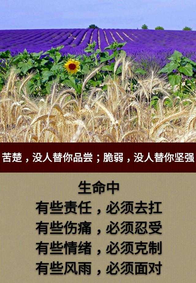 看一看比一比，我在中间也可以；眼一睁眼一闭，人生如梦睡过去