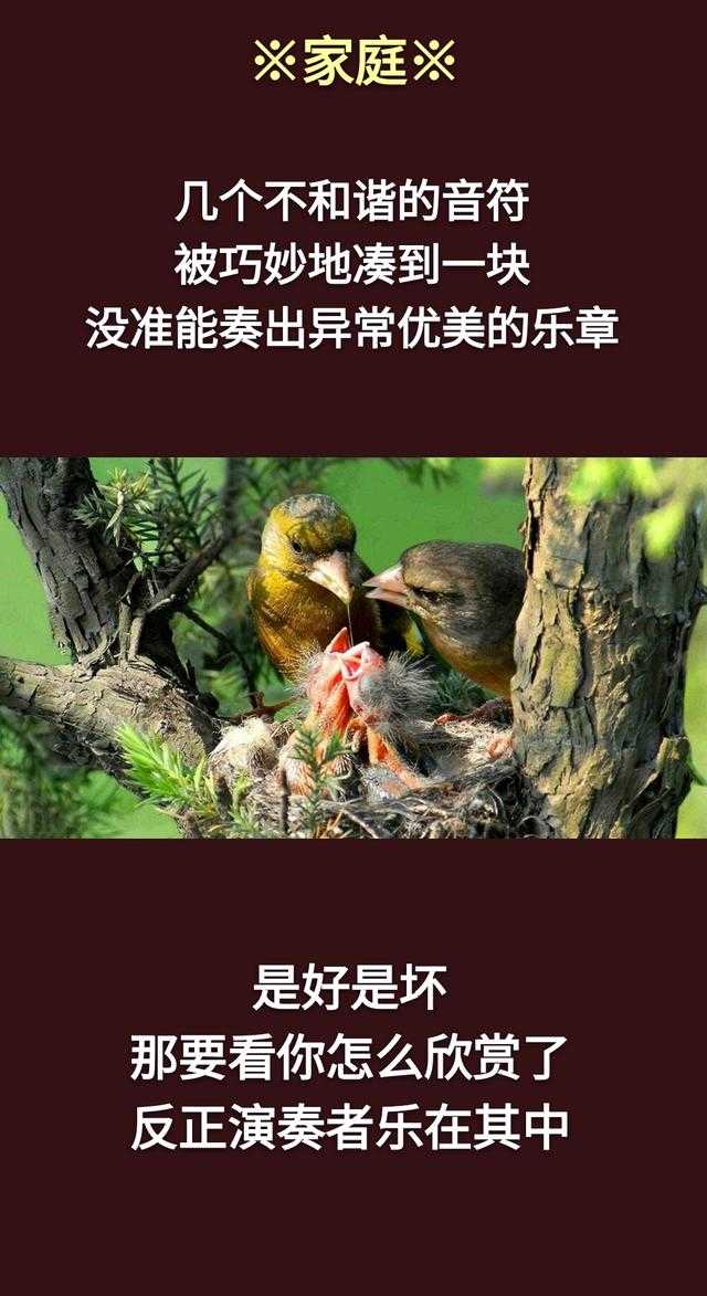 一个人，吃多少穿多少活多久，是富贵还是贫穷，命里早已注定！