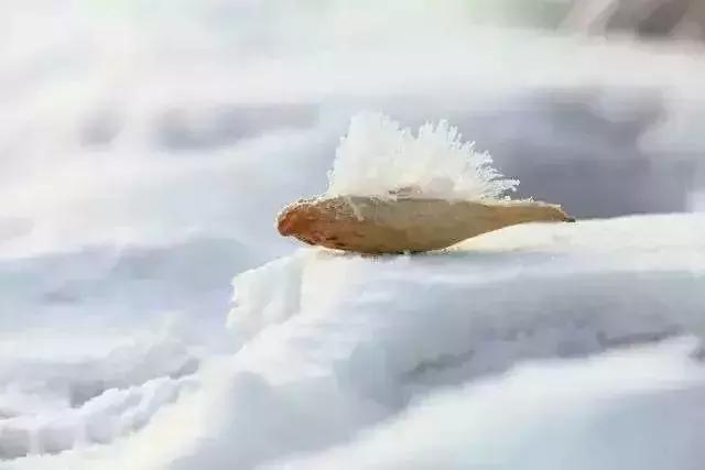 坐在冬的门楣
