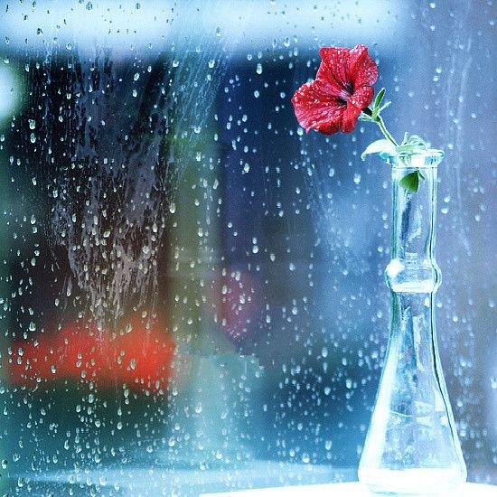 经典散文：烟雨醉花，一梦倾城