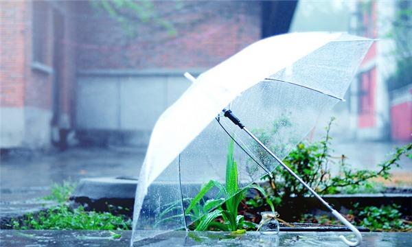 经典散文：烟雨醉花，一梦倾城