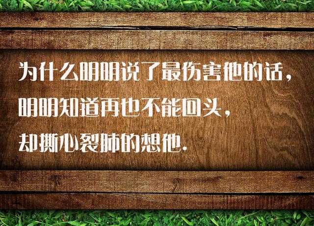 我想给你最好的爱情，不是早点睡，也不是多喝点水，暖哭了