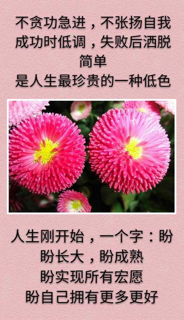 有些人，安然而来，不离不弃；有些人，疯狂似醉，梦过无痕