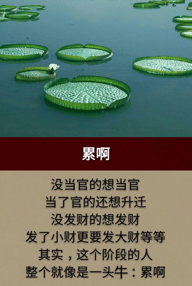 人生三做：一“做人”，二“做牛”，三“做猴”「写得真好」