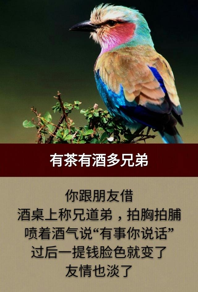 这一生，为钱而拼，累累累；这一世，为情而活，苦苦苦！