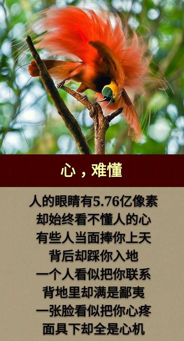 钱，难赚；情，难断；话，难辨；心，难懂；人，难做；命，难求！