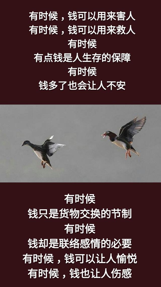 人这辈子，为钱、为情，还是为了命？