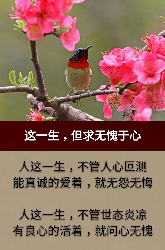 人若欺我，礼让三分；人再欺我，我还一针；人还欺我，斩草除根