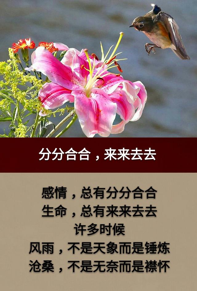 人与人，好起来时可以同穿一条裤子，闹翻后老死不相往来！