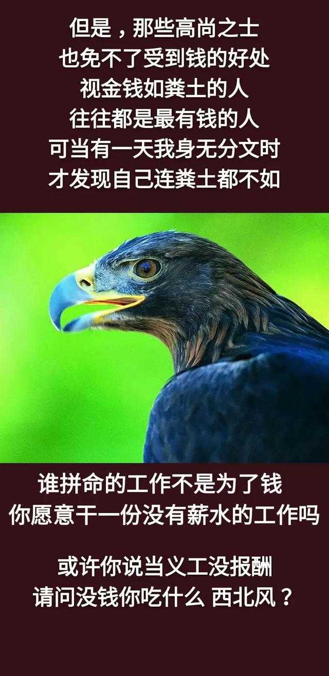 人这辈子，为钱、为情，还是为了命？