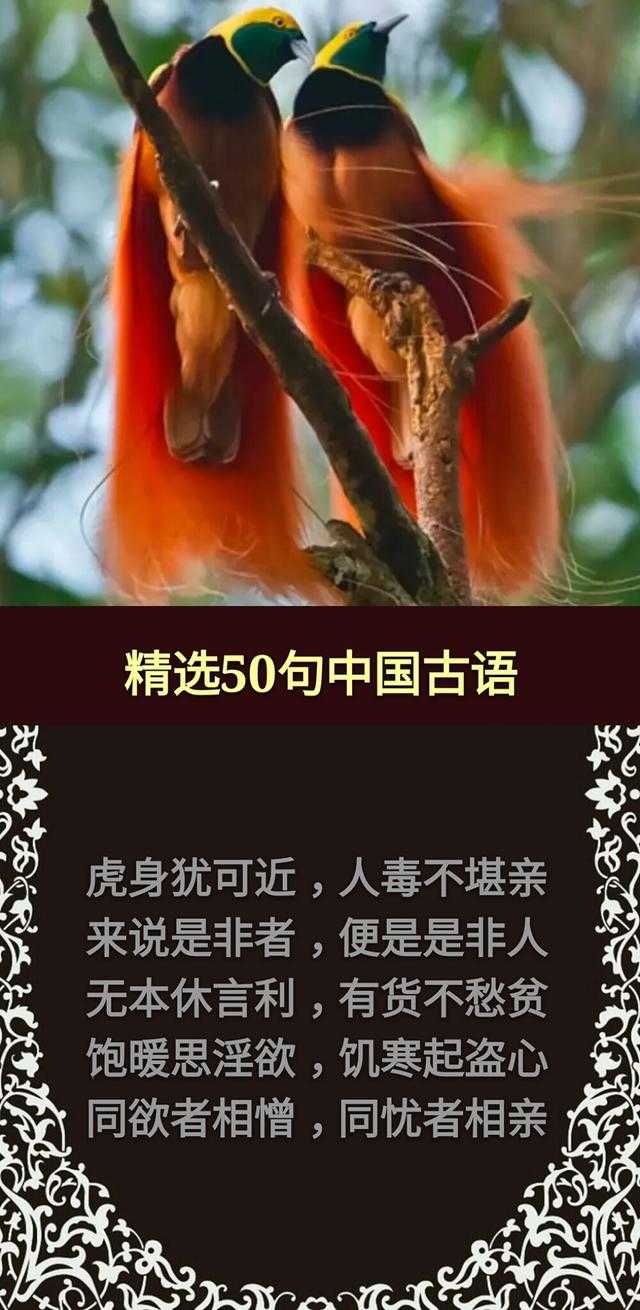 草，有根；话，有因；酒，红面；钱，黑心「句句精辟，值得收藏」