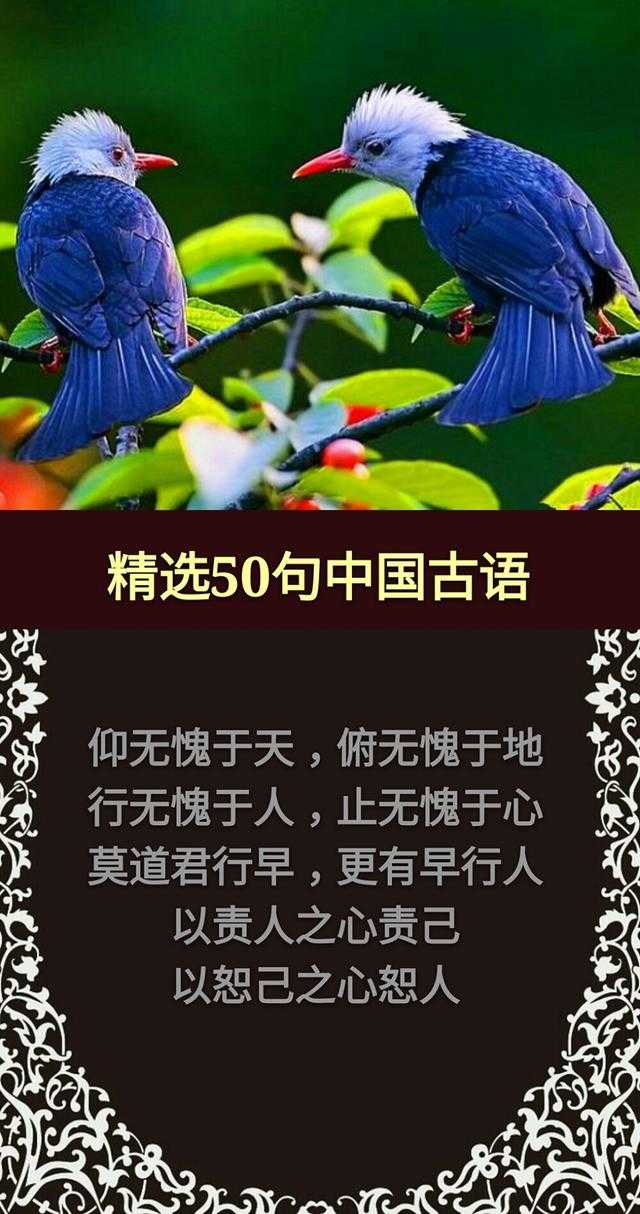 草，有根；话，有因；酒，红面；钱，黑心「句句精辟，值得收藏」