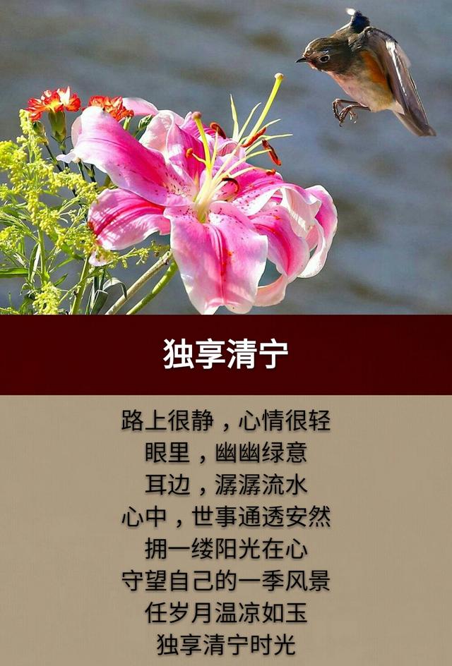 人，想多了，遭罪；心，装多了，崩溃；情，握紧了，会累