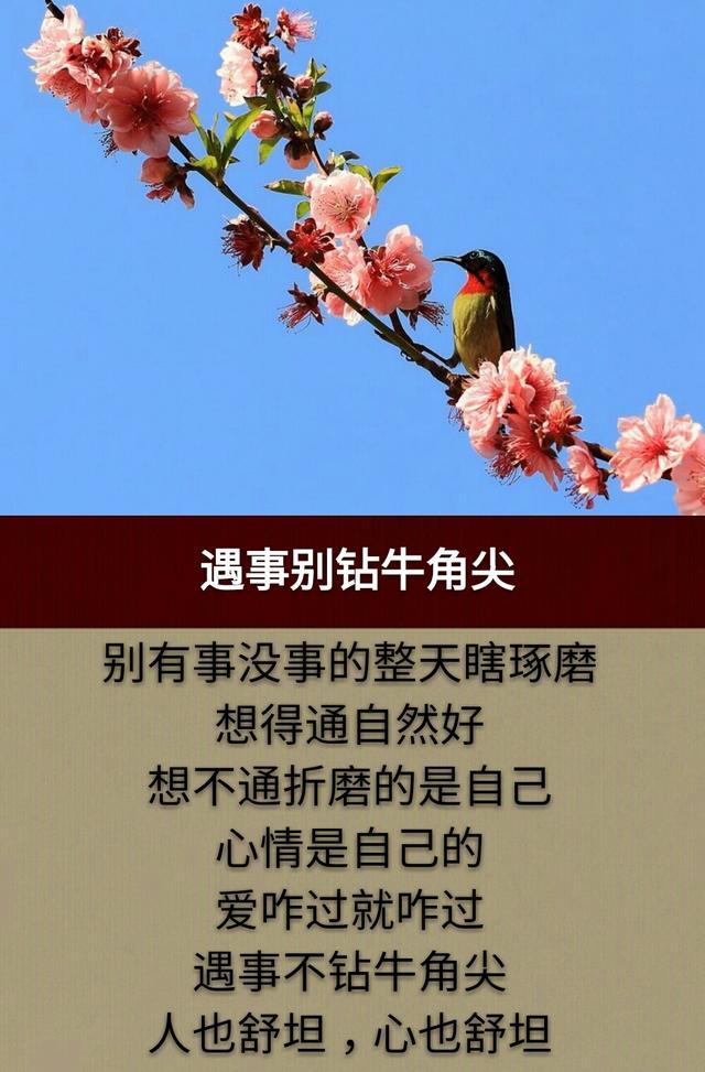 人与人，好起来时可以同穿一条裤子，闹翻后老死不相往来！