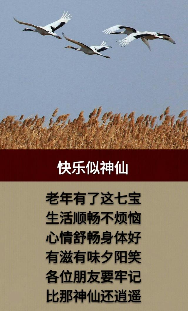 老了以后，这样过才一生无憾！「顺口溜」