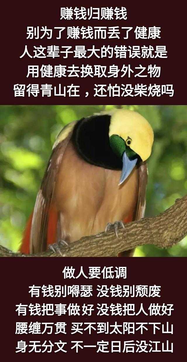 向人借钱，羞；借钱给人，疼；为钱活着，闷；没钱活着，苦！