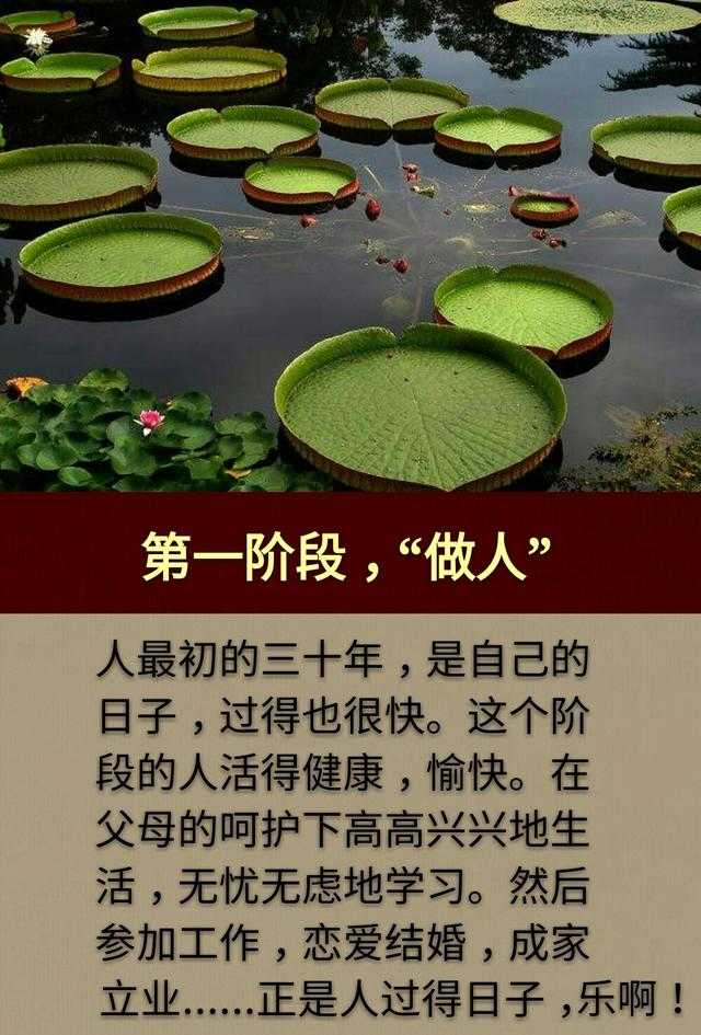 人生三做：一“做人”，二“做牛”，三“做猴”「写得真好」