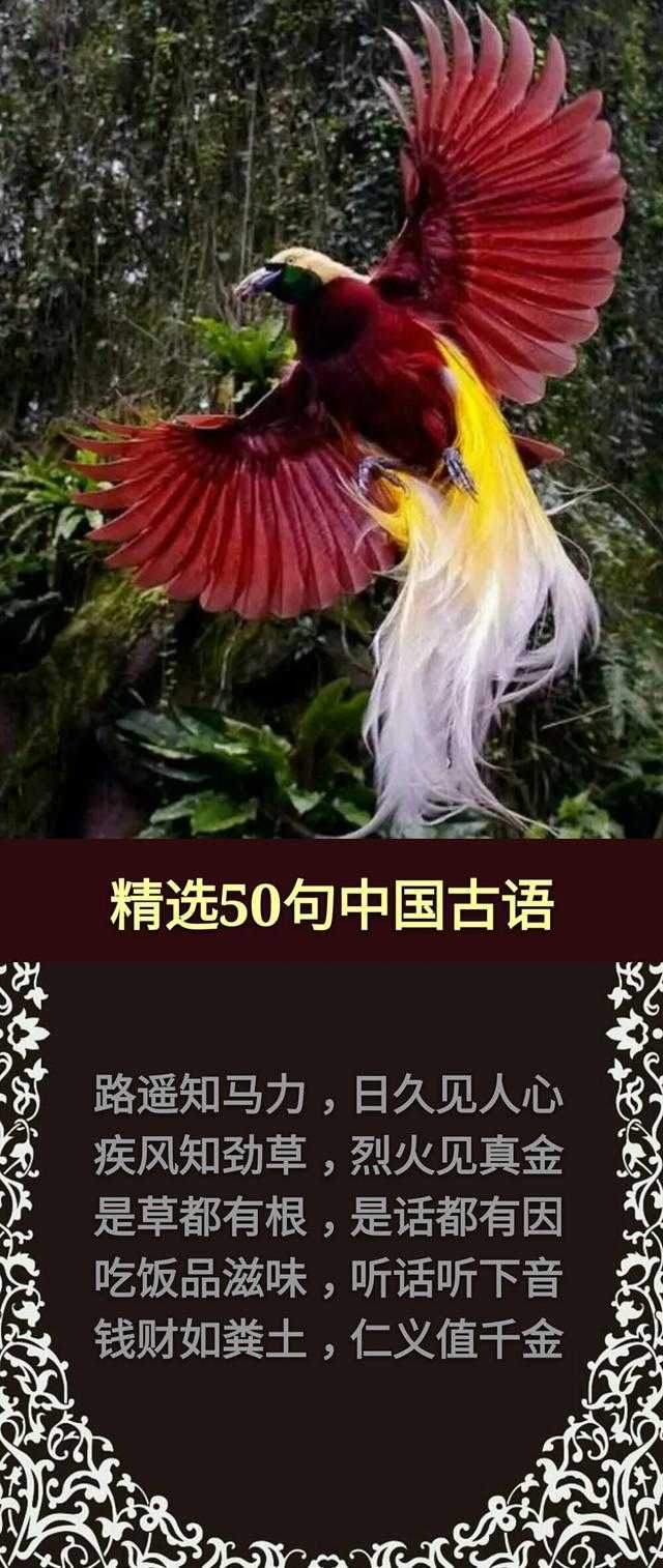 草，有根；话，有因；酒，红面；钱，黑心「句句精辟，值得收藏」