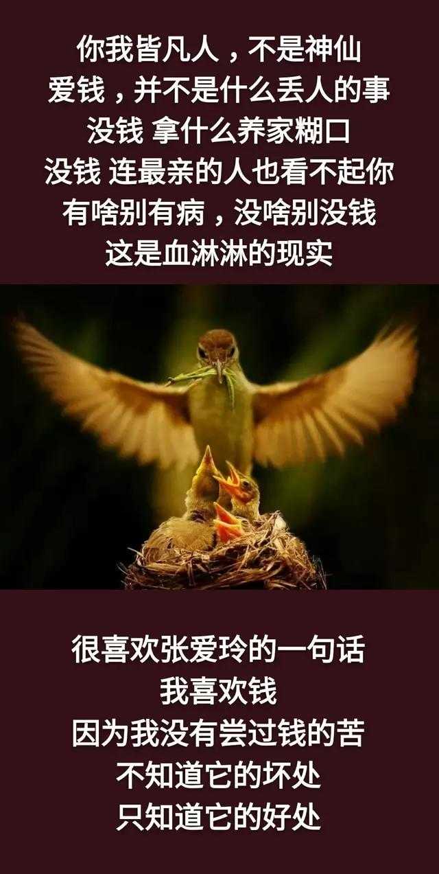 人这辈子，为钱、为情，还是为了命？