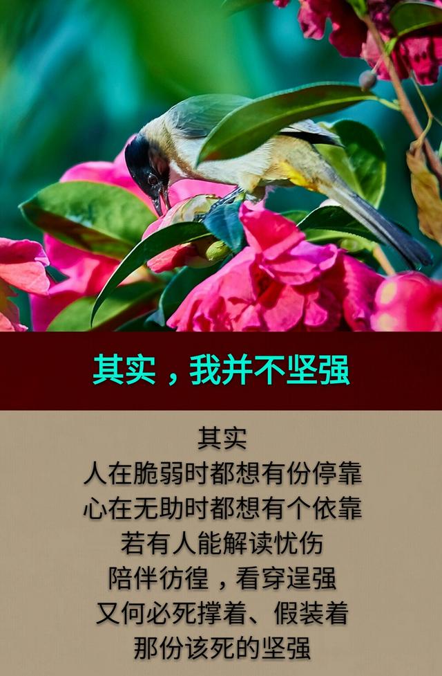 我做不了君子，但也不屑于做小人！我很普通，开心会笑，伤心会哭