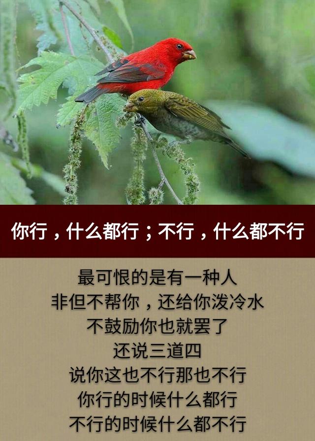 这一生，为钱而拼，累累累；这一世，为情而活，苦苦苦！