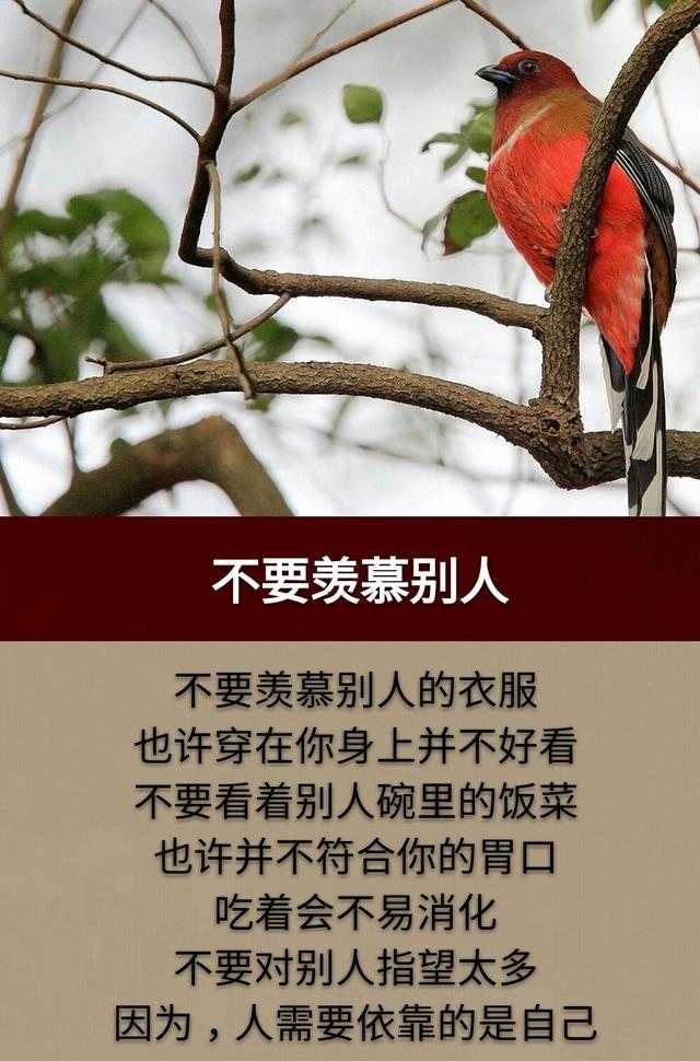 人，想多了，遭罪；心，装多了，崩溃；情，握紧了，会累！