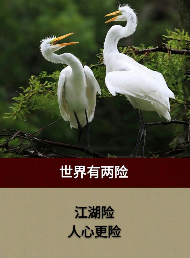 人生的二十二个“二”「短而精，值得收藏」