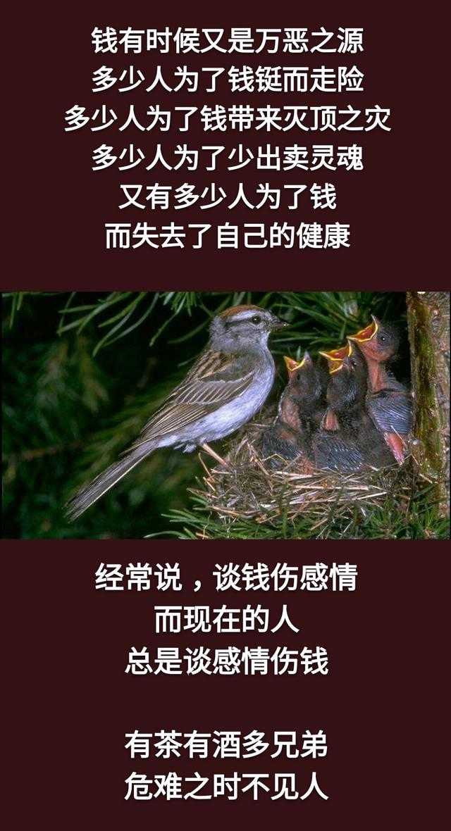 人生最难跨的两道坎：情与钱，试问天下几人能跨过？