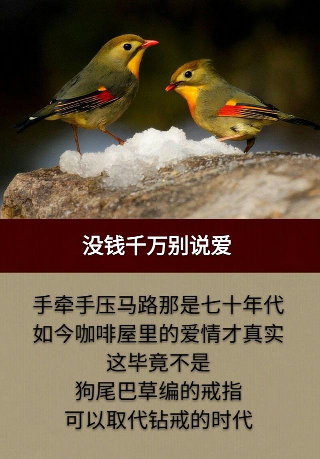 这一生，为钱而拼，累累累；这一世，为情而活，苦苦苦！